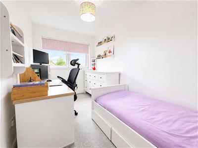 Picture 13